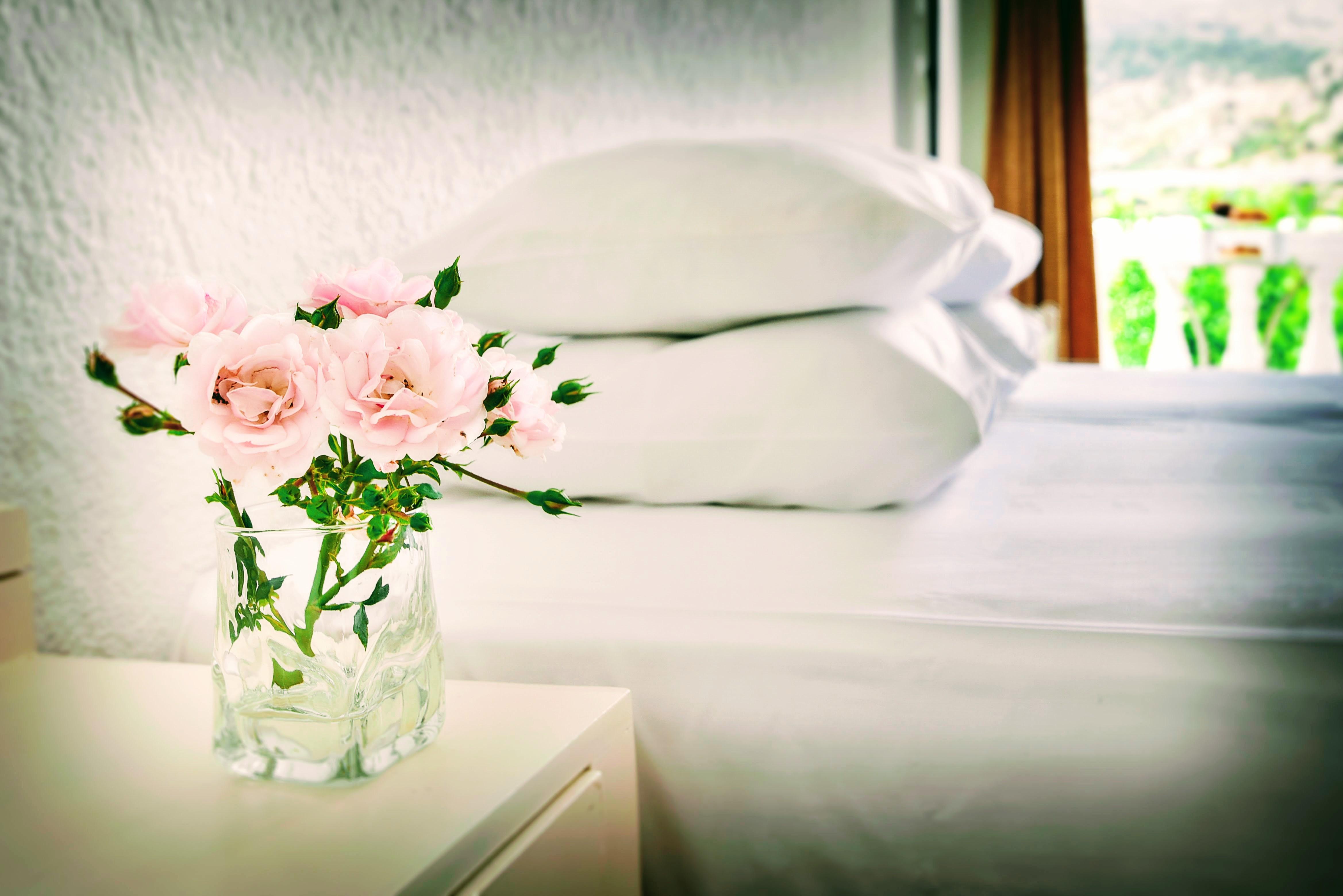 Ibiscus Hotel Malia Luaran gambar